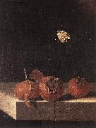 COORTE, Adriaen Three Medlars with a Butterfly df Germany oil painting reproduction